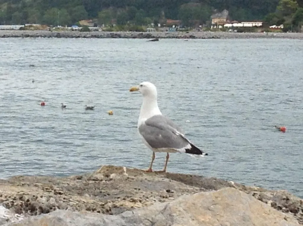 Affittacamere La Lanterna Porto Venere Italien